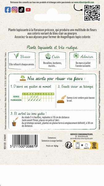 Fleurs - Aubriète Variée - MEDIA_PACKAGING_VERSO